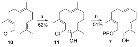 Details are in the caption following the image