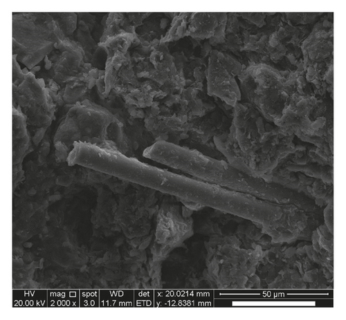 Details are in the caption following the image