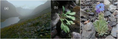 Details are in the caption following the image