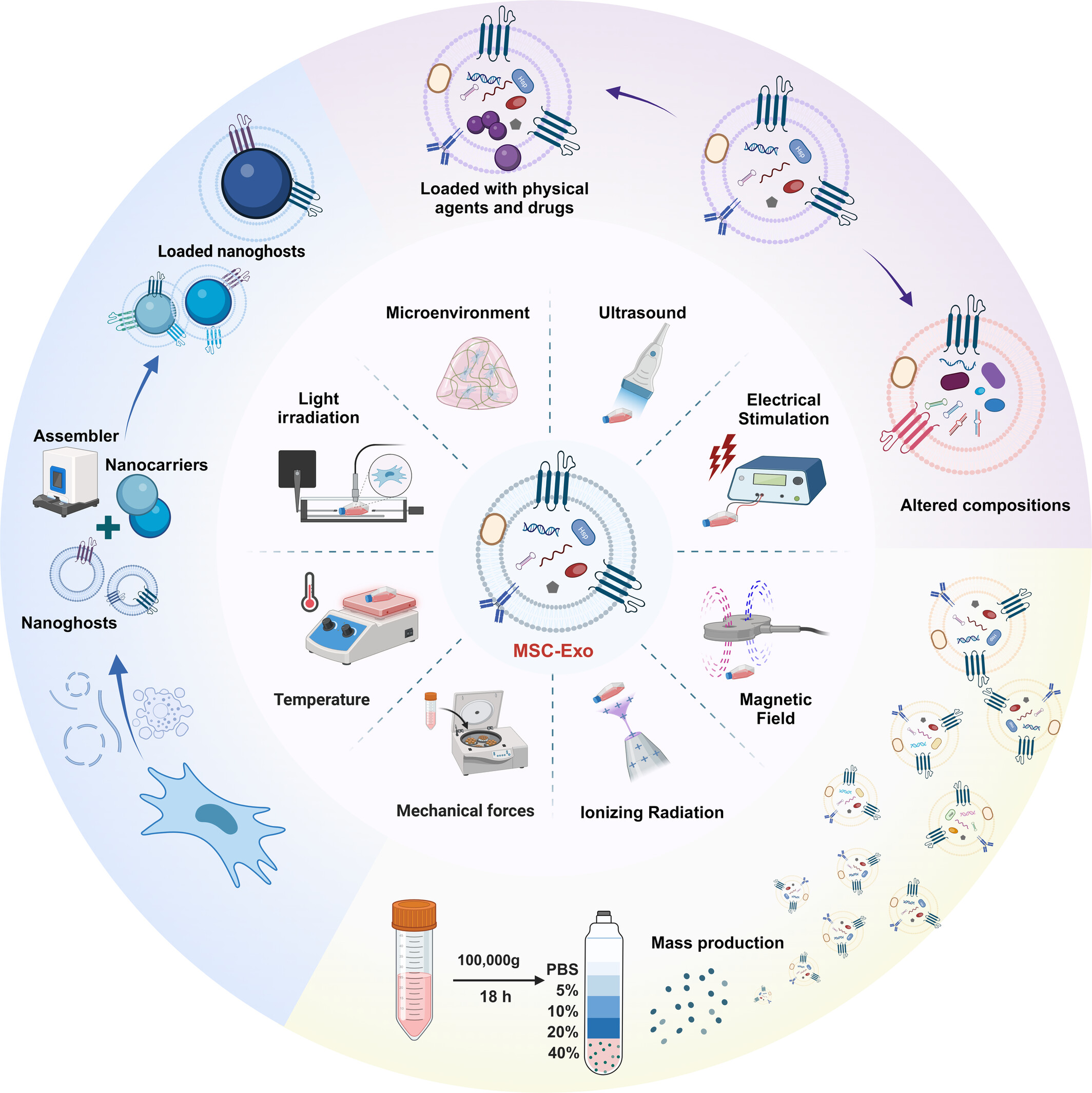 Physical modulation of mesenchymal stem cell exosomes: A new perspective for regenerative medicine