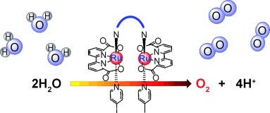 Promoting the Activity of Catalysts for the Oxidation of Water with Bridged Dinuclear Ruthenium Complexes