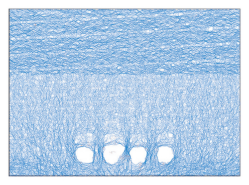Details are in the caption following the image Details are in the caption following the image