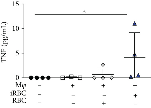Details are in the caption following the image