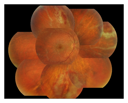 Details are in the caption following the image Details are in the caption following the image