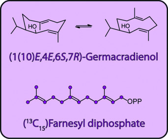 Conformational Analysis, Thermal Rearrangement, and EI-MS Fragmentation Mechanism of (1(10)E,4E,6S,7R)-Germacradien-6-ol by 13C-Labeling Experiments