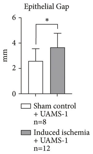 Details are in the caption following the image