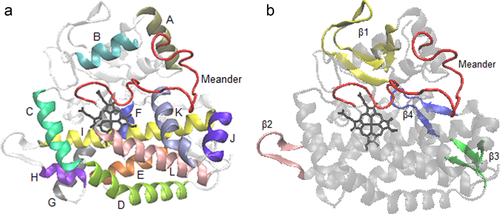 Details are in the caption following the image Details are in the caption following the image