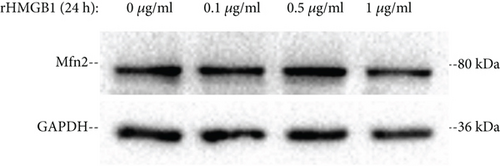 Details are in the caption following the image