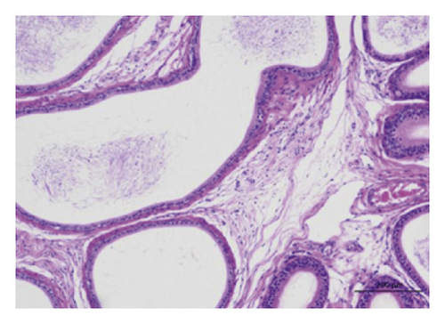 Details are in the caption following the image