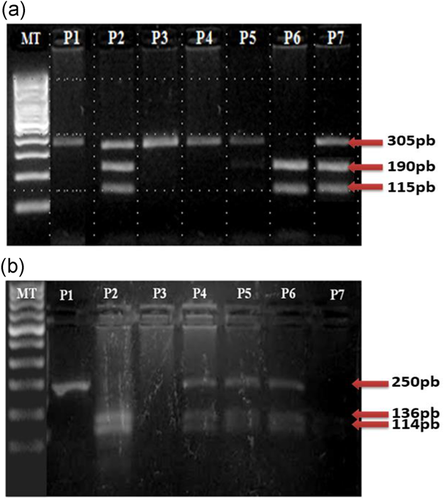 Details are in the caption following the image