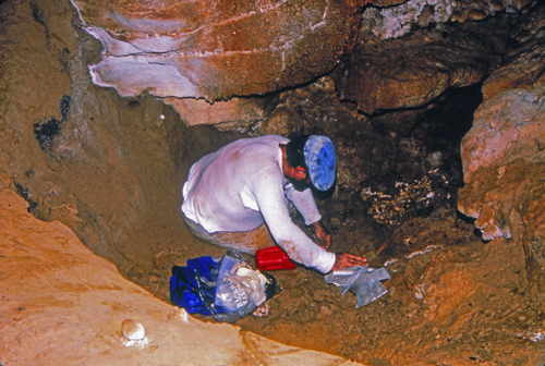 Details are in the caption following the image