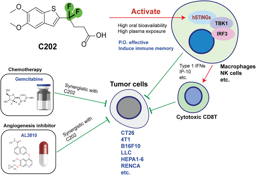 A novel STING agonist with systemic and durable anti-tumour activity