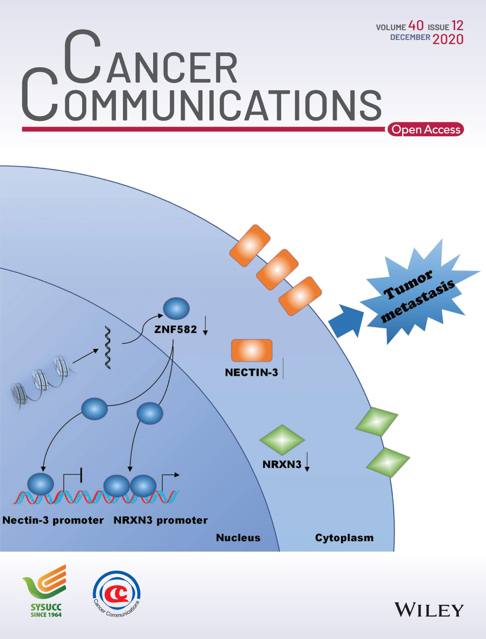 Front Cover: ZNF582 hypermethylation promotes metastasis of nasopharyngeal carcinoma by regulating the transcription of adhesion molecules Nectin-3 and NRXN3 Volume 40 Issue 12, 2020