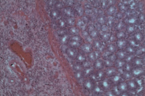 Details are in the caption following the image