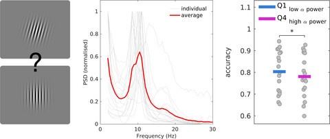 Prestimulus alpha power but not phase influences visual discrimination of long-duration visual stimuli