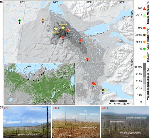 Ecological and conceptual consequences of Arctic pollution
