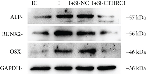 Details are in the caption following the image