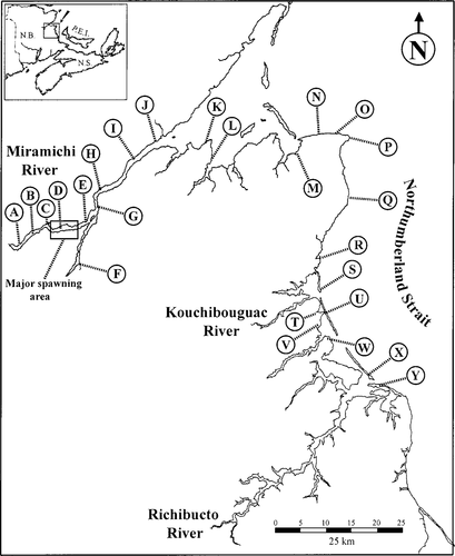 Details are in the caption following the image