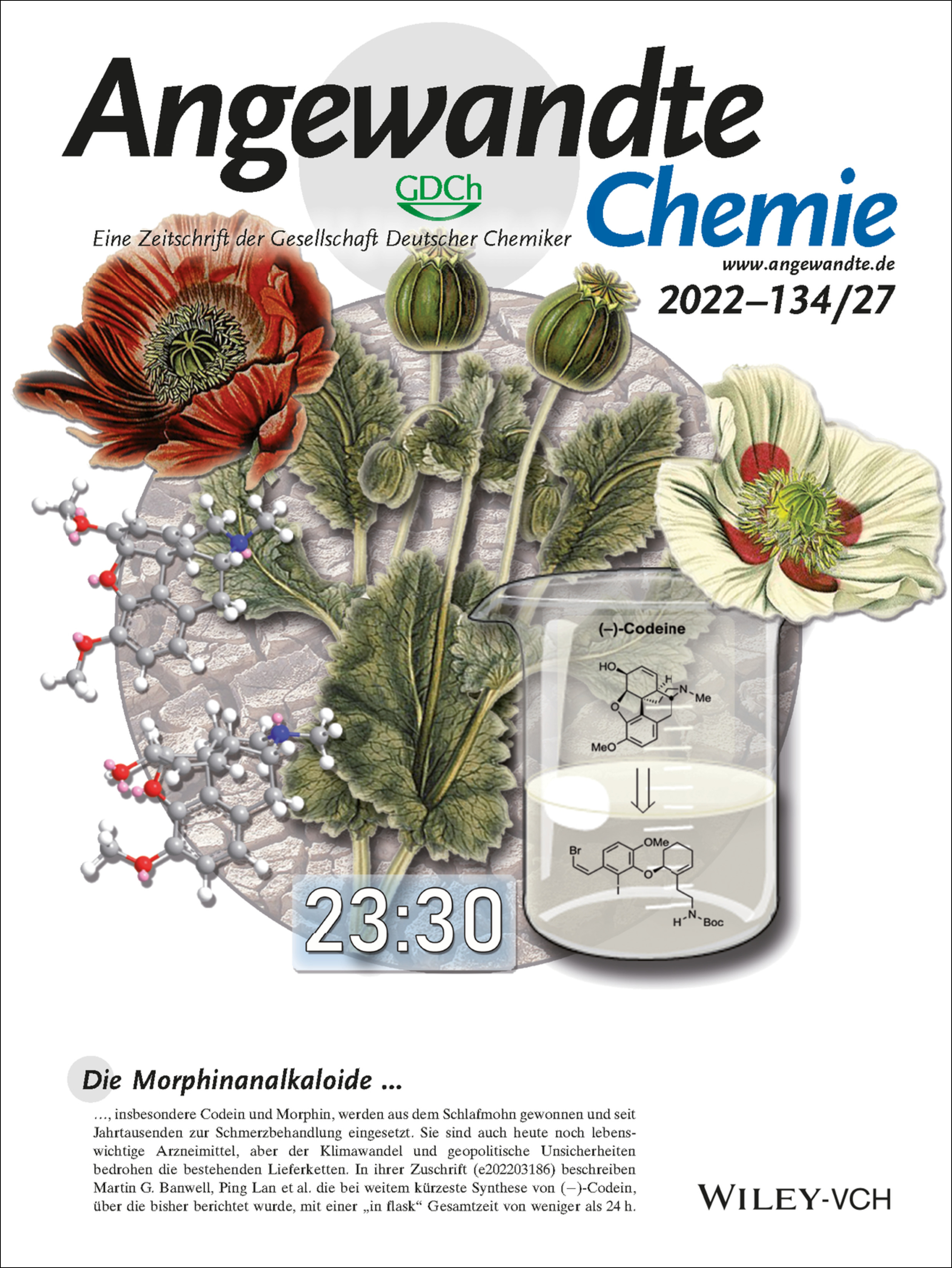 Innenrücktitelbild: Expeditious Access to Morphinans by Chemical Synthesis (Angew. Chem. 27/2022) Volume 134 Issue 27, 2022