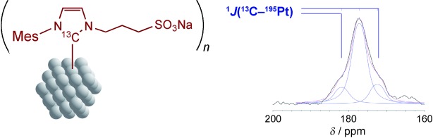 Highly Stable Water-Soluble Platinum Nanoparticles Stabilized by Hydrophilic N-Heterocyclic Carbenes