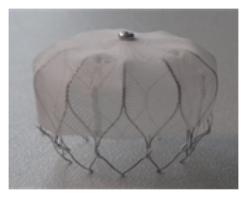 Details are in the caption following the image Details are in the caption following the image