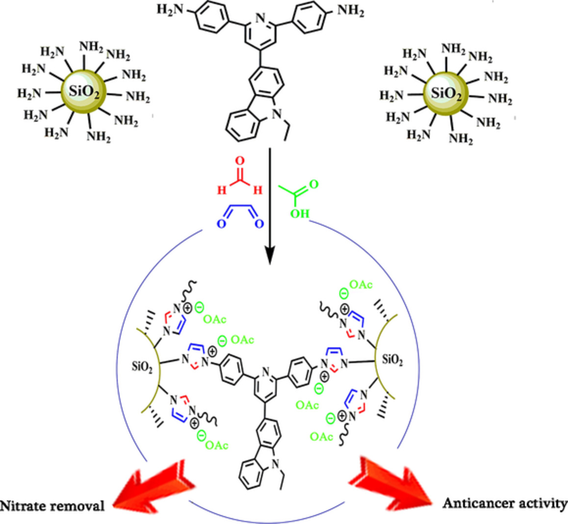 Synthesis and characterization of polyimidazolium species on silica nanoparticles: Study on cytotoxicity and removal of nitrate from water