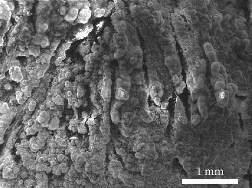 Details are in the caption following the image