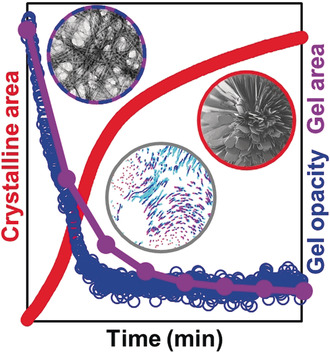 Real-Time In-Situ Monitoring of a Tunable Pentapeptide Gel–Crystal Transition