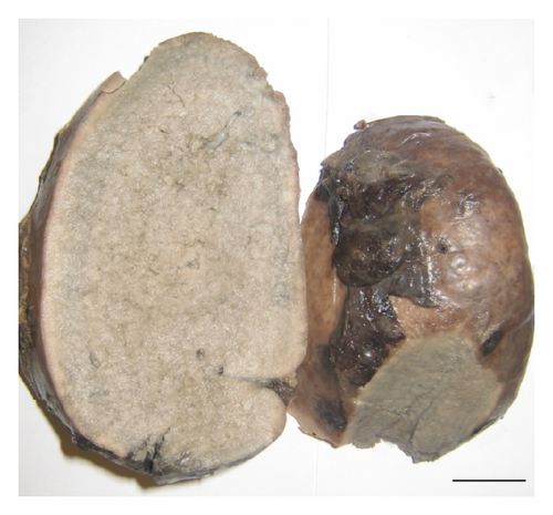 Details are in the caption following the image