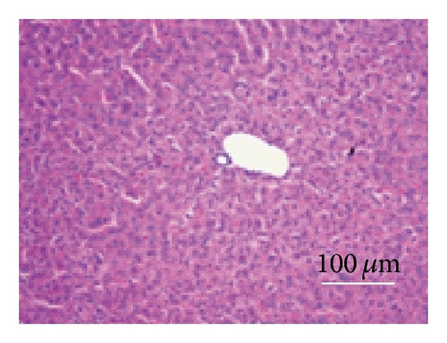 Details are in the caption following the image