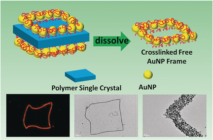 Precisely Assembled Cyclic Gold Nanoparticle Frames by 2D Polymer Single-Crystal Templating
