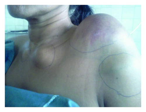 Details are in the caption following the image Details are in the caption following the image