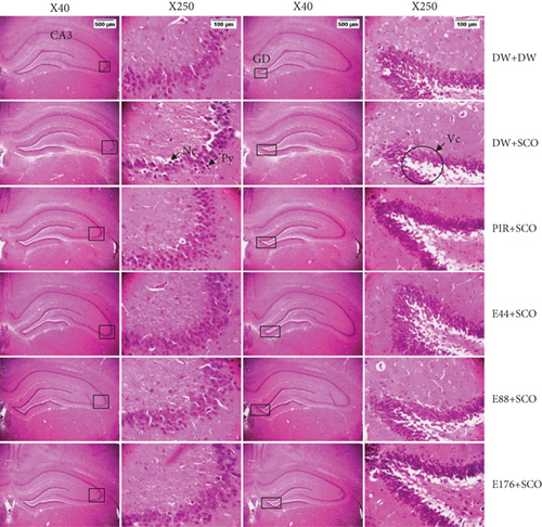 Details are in the caption following the image Details are in the caption following the image