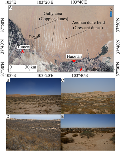 Details are in the caption following the image Details are in the caption following the image