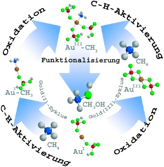 Selective Oxidation of Methane to Methanol Catalyzed, with C<span class='icomoon'></span>H Activation, by Homogeneous, Cationic Gold