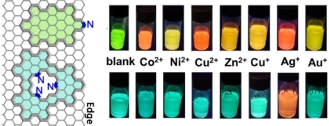 Nanographene with a Nitrogen-Doped Cavity