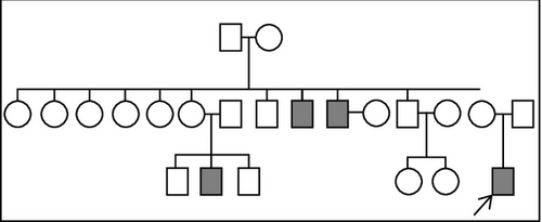 Details are in the caption following the image