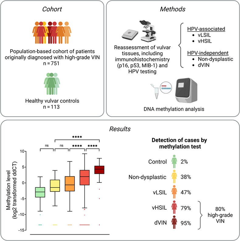 Clinical validation of methylation biomarkers for optimal detection of high-grade vulvar intraepithelial neoplasia