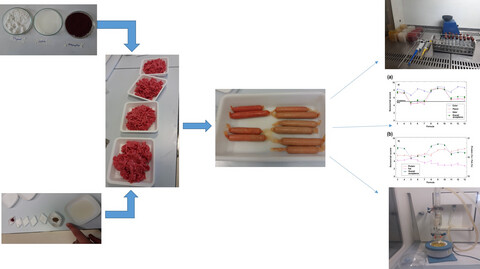 Evaluation of microbiological, chemical, and sensory properties of cooked probiotic sausages containing different concentrations of astaxanthin, thymol, and nitrite