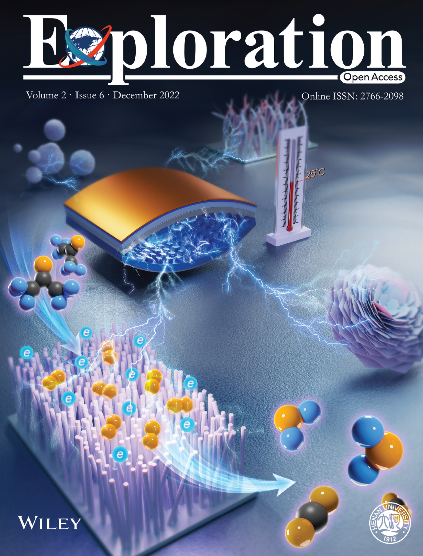 Front Cover: Active-ion-gated room temperature acetone gas sensing of ZnO nanowires array (EXP2 6/2022) Volume 2 Issue 6, 2022
