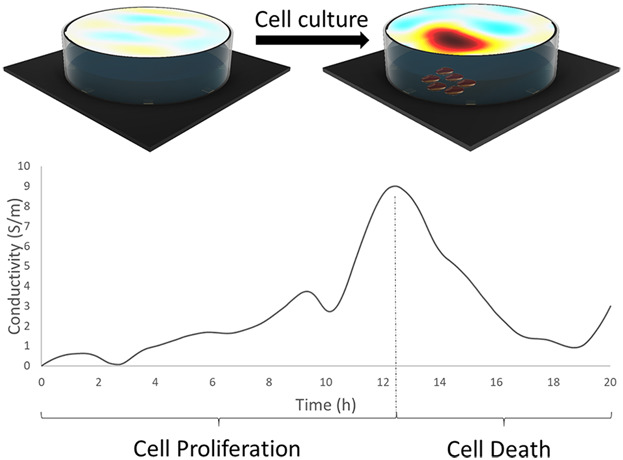 Electrical Impedance Tomography With a Lab-on-Chip for Imaging Cells in Culture