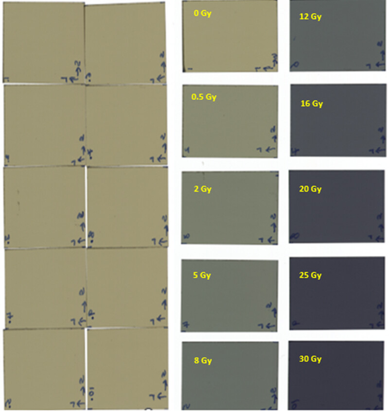 Investigating the method of selection of background pixel values for the calibration of EBT-XD film dosimetry