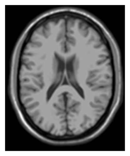 Details are in the caption following the image