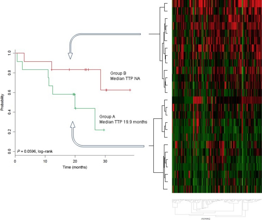 Prediction of desmoid tumor progression using miRNA expression profiling