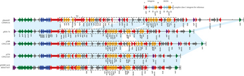 Details are in the caption following the image Details are in the caption following the image