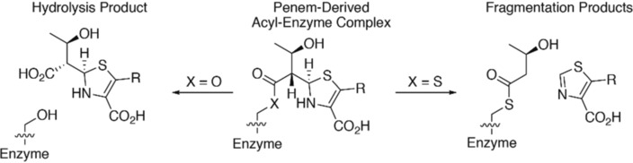 Non-Hydrolytic β-Lactam Antibiotic Fragmentation by l,d-Transpeptidases and Serine β-Lactamase Cysteine Variants