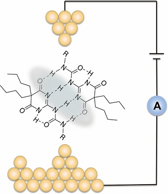 Molecular Conductance through a Quadruple-Hydrogen-Bond-Bridged Supramolecular Junction