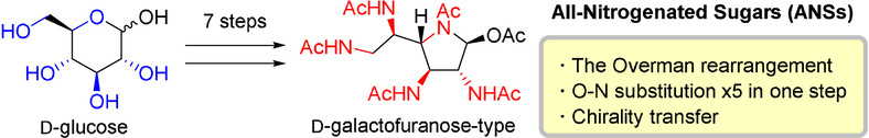 Seven-Step Synthesis of All-Nitrogenated Sugar Derivatives Using Sequential Overman Rearrangements
