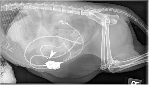 Details are in the caption following the image Details are in the caption following the image