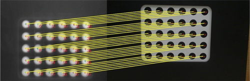 Details are in the caption following the image Details are in the caption following the image